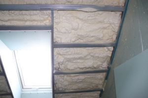600d833345da2.jpg